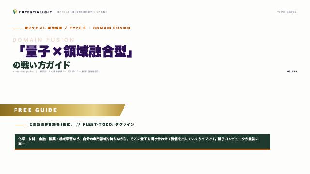 量子×領域融合型の戦い方ガイド 表紙